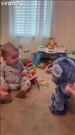 8-month-old sees interactive Stitch for the first time.