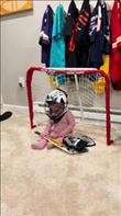 We have 3 older sons. Only 2 were featured in this video. Our youngest of the 3 boys take a shot right at his 8 month old sister who is the goalie. He laughs hysterically while the oldest brother is featured laughing as well. My wife took the video and sent it to me while I was at work. The kids play mini hockey every single night before bed. Credit: Emmett O’Reilly