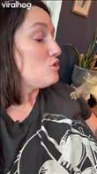 Rex, a young Russian tortoise, touches noses with her owner to communicate love and acceptance.