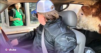 <p>An unexpected passenger left a Starbucks employee totally stunned. The look on the woman&rsquo;s face when she realized what was in the vehicle says it all. Watch the short but hysterical clip to see the young woman&rsquo;s reaction and the unexpected passenger who elicited such a response.</p>

<p>People absolutely love animals, most people anyway. I&rsquo;m sure some individuals might publicly confess to stating their dislike of those cute, furry and four-legged creatures. I&rsquo;m not sure I know anyone like that, and you might not either, but I&rsquo;m almost positive those individuals do exist.</p>

<p>Anyway, pet owners &ndash; past and present &ndash; adore their animals. It quickly gets to the point that doing anything without them feels downright wrong. After they enter our lives and homes, they become full-fledged family members in no time at all. We take them here and there, give them this and that. Why? Well, because we love them. It&rsquo;s as simple as that.</p>

<p><a href="https://www.youtube.com/watch?v=0bEbiVIrnOY">In a clip posted on YouTube</a>, one man took his massive animal pal, a bull, through a Starbucks drive-thru. Now, when was the last time you remember seeing a bull in a drive-thru? Sure, people may take their dogs or even their cats to the popular drink vendor, but a bull? That&rsquo;s pretty unheard of, or at least I&rsquo;ve never heard of anyone doing that.</p>

<p>So, knowing that seeing a bull in a Starbucks drive-thru is an unusual sight, it makes perfect sense why the young woman in the video reacted as she did. It&rsquo;s safe to say that any one of us would have responded similarly. Your eyes would widen, and your jaw would drop, too, if you looked out the window and saw a bull in an SUV.</p>

<p>Regardless, her response and how, after the initial shock, she basically rolled with it. It just goes to show that you never know what the day will bring.</p>

<p><em><strong><a href="https://www.godtube.com/bible/genesis/1-21">Genesis 1:21</a></strong> &ldquo;And God created great whales, and every living creature that moves, which the waters brought forth abundantly, after their kind, and every winged fowl after his kind: and God saw that it was good.&rdquo;</em></p>
