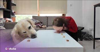 <p>This eating challenge was supposed to be a competition, but it was anything but. The woman created an event intended to show who was the quickest and most efficient eater between her and her golden retriever. Watch the short, but sweet and hilarious clip to see how the challenge went and who came out on top.</p>

<p>ESPN bills itself as being the worldwide leader in sports coverage. For 24 hours a day, seven days a week, that channel and its many others show nothing but sports-related content. Some may argue that having 24-hour channels of anything is a bad idea because then they stretch themselves to fill airtime. Anything and everything becomes a hotly debated topic and is eventually talked about to death.</p>

<p>While ESPN may say it is the worldwide leader in sports coverage, some may dispute that claim. I know I&rsquo;ve personally seen billiards, poker, and other events that some would likely question as legitimate sports. Additionally, ESPN also broadcasts eating competitions, such as the Nathan&rsquo;s Hot Dog Eating Contest. Eating a hot dog is certainly not a sport. If that were the case, every American would be an athlete, and we know that is not true.</p>

<p>Anyway, a woman challenged her golden retriever to a food-eating contest, as the <a href="https://www.youtube.com/watch?v=SntzCIABF1Q">clip posted on YouTube shows</a>. The pup was obviously eager and ready to go and even got a head start on the competition, gobbling up the first morsel set in front of it before it was go-time.</p>

<p>However, in the end, while it was a challenge, there was no competition. The dog came out on top easily and even helped her finish off some of her pieces of food. When it comes to animals and food, humans really don&rsquo;t stand a chance. We are likely to lose every time.</p>

<p><em><strong><a href="https://www.godtube.com/bible/genesis/1-21">Genesis 1:21</a></strong> &ldquo;And God created great whales, and every living creature that moves, which the waters brought forth abundantly, after their kind, and every winged fowl after his kind: and God saw that it was good.&rdquo;</em></p>
