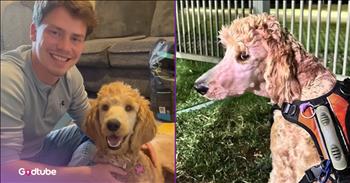 <p>A couple made a selfless decision to sacrifice in order to help an injured pup, and it was beautiful. They put their plans on hold to attend to a canine who badly needed medical attention. Watch this short but heartwarming clip to hear what this lovely couple did to help a dog in poor condition. Make sure you have a box of tissues nearby because you&rsquo;ll probably need them.</p>

<p>People tend to look out for themselves, to meet their needs and wants before helping others. It&rsquo;s horrible to admit, but it&rsquo;s true and is human nature. If we&rsquo;re all being honest, we are all selfish at times and can probably name specific instances when we were more concerned about ourselves than others.</p>

<p>How better could this world be if people weren&rsquo;t so selfish? What would happen if people weren&rsquo;t motivated solely by what they can get out of this or that? &nbsp;For starters, the crime rate probably wouldn&rsquo;t be so high, and places like Washington, D.C., and other places of power wouldn&rsquo;t be so despised.</p>

<p><a href="https://www.youtube.com/shorts/-ibA8Dr2pBw">A clip posted on YouTube</a> gives us a glimpse of how much better our world could be if me, myself and I weren&rsquo;t the primary concern for most people. That&rsquo;s because a couple used the money they had saved to fund their upcoming wedding to pay for an injured dog&rsquo;s badly needed medical procedure.</p>

<p>A post on social media prompted the couple to help Maple, who had been hit by a car. Maple had suffered two broken legs. The young couple did what they could for the animal, taking it to the vet. But that&rsquo;s when they learned that the procedure to fix Maple&rsquo;s legs was going to cost thousands.</p>

<p>&ldquo;We kind of looked at each other, and we&rsquo;re like, &lsquo;Hey, we have money saved for our wedding. Let&rsquo;s just use that. We can always figure something out later, but this girl needs our help, and she needs it now,&rdquo; the woman in the clip said.</p>

<p>What a completely selfless act of love to put the animal&rsquo;s needs ahead of their own wants.</p>

<p><em><strong><a href="https://www.godtube.com/bible/philippians/2-3">Philippians 2:3</a></strong> &ldquo;Doing nothing through envy or through pride, but with low thoughts of self, let everyone take others to be better than himself;&rdquo;</em></p>
