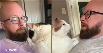 <p>This cat&rsquo;s adorable morning routine will make your day. The sweet feline has a particular way, a process by which it starts every day, and it&rsquo;s almost too cute. Watch the short but purr-fectly precious clip to see and hear how this cat prefers to begin every single day.</p>

<p>Cats and dogs are some of the best creatures on earth. That&rsquo;s a statement that, even in these incredibly polarized and divisive times, is likely to get near 100 percent agreement. Who is going to say otherwise, and more importantly, how could you ever present a compelling argument to support the opposing viewpoint?</p>

<p>Now, the real challenge and debate begin when people try to decide which makes the better pet: a dog or a cat. Of course, this is likely to be a topic that has no answer. Most people are firmly in either one of the two camps, and no amount of discussion is likely to change their minds.</p>

<p>Regardless of how you feel about cats or dogs, animals are like humans in that they are creatures of habit. They also have habits and routines, and when those are disrupted, they can get a bit upset and act out. <a href="https://www.youtube.com/watch?v=zj986Iuo4Fg">In a clip posted on YouTube</a>, one man explains his four-legged friend&rsquo;s morning routine, which is incredibly cute and endearing.</p>

<p>&ldquo;She kneads on my stomach every morning, and she likes to do this in complete silence,&rdquo; the adorable cat&rsquo;s owner says.</p>

<p>He also adds how the feline will react if he attempts to talk to the animal or anyone else while it&rsquo;s going through its morning routine.</p>

<p>&ldquo;Every time I try to speak to her or somebody else, she&rsquo;ll reach up with her paw and shush me,&rdquo; he added. &ldquo;She&rsquo;s very vocal about wanting that time to be quiet.&rdquo;</p>

<p>Anyone who has ever had a cat will completely understand and recognize this behavior.</p>

<p><em><strong><a href="https://www.godtube.com/bible/genesis/1-21">Genesis 1:21</a></strong> &ldquo;And God created great whales, and every living creature that moves, which the waters brought forth abundantly, after their kind, and every winged fowl after his kind: and God saw that it was good.&rdquo;</em></p>
