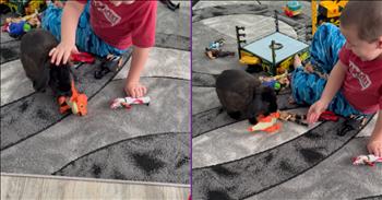 <p>A rabbit pulled a hilarious WWE move on a toy. The animal was playing with the plastic figurine when things took a surprising and dramatic turn. Watch the short but hysterical clip to see what the rabbit did that seemed to indicate that it had had enough of that particular toy.</p>

<p>Almost everyone has a soft spot in their hearts for animals. The love and adoration for animals are likely among the select few things that will get near-universal agreement. Even if you wouldn&rsquo;t describe yourself as a particular big cat or dog person, how could you still not appreciate those cute, furry and four-legged creatures? They make life a fuller, richer and all-around better experience.</p>

<p>One of the many ways animals make life better is through the hysterical and unexpected things they do. Just when you think you&rsquo;ve got your pet figured out and know how they are likely to react in any given situation, they&rsquo;ll throw you a curveball and surprise you. Most of the time, these surprises will result in massive belly laughs for everyone around as the animal does something absurd, unexpected or both.</p>

<p>In this posted clip, a rabbit did something that had both people &ndash; the child on the screen and the woman behind the camera &ndash; rolling with laughter. Neither could believe what they witnessed the animal do, and if they hadn&rsquo;t seen it with their own eyes, they probably wouldn&rsquo;t have believed it if someone had told them.</p>

<p>The video begins with a young child playing with a toy, while the large Black rabbit next to him plays with another one. There is plenty of laughter, and everyone is having a great time. But as the animal continues to play, it does something rather strange. It slowly moves backward, bringing the toy with it until it reaches a miniature wrestling ring.</p>

<p>Apparently, this rabbit has been watching some professional wrestling, because seconds later, the animal picks up the toy and delivers a finishing move. It body slams the toy in the ring. The rabbit won that match!</p>

<p><em><strong><a href="https://www.godtube.com/bible/genesis/1-21">Genesis 1:21</a></strong> &ldquo;And God created great whales, and every living creature that moves, which the waters brought forth abundantly, after their kind, and every winged fowl after his kind: and God saw that it was good.&rdquo;</em></p>
