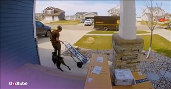 UPS Driver Jumped into Action to Corral an Escaped Dog 