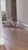 First-time mom baby-proofs house during naptime only to have the spunky baby girl EAT the proofing off the wall. When confronted by her mother, she jumps and tries to get away.