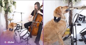 <p>This musical pup played the iconic &ldquo;Mission Impossible&rdquo; theme song. The canine demonstrated its jaw-dropping talent for the drums by playing a tune that everyone, without a doubt, has heard a time or two. Watch the short but awe-inspiring clip to see and hear this dog perform the theme song from &ldquo;Mission Impossible.&rdquo;</p>

<p>All pet owners love and adore their animals. In fact, when it comes to talking about most people who have pets, it wouldn&rsquo;t be too far of a stretch to say that they are absolutely obsessed with them. There are basically no lengths some people will not go to for their cute, cuddly, furry four-legged friend. Don&rsquo;t believe me? Just check social media, and you&rsquo;ll quickly discover what I&rsquo;m talking about.</p>

<p>Now, every pet owner believes their furry friend is &ldquo;special&rdquo; and &ldquo;one-of-a-kind.&rdquo; In our hearts and eyes, they are special and deserve the world, right? While that may be true, I&rsquo;d be willing to bet that not many of those pets can play a musical instrument. I&rsquo;d go so far as to say that 99.9 percent of those special animals have been gifted with the ability to play the guitar or sing a single note.</p>

<p>However, we have just encountered a pup who is truly one-of-a-kind, with an ability that likely no other dog can do: play the drums. Yes, you read that correctly, this dog can bang around on the drums, and not only that, but it has also even helped in playing one of the most recognizable and iconic tunes of all time.</p>

<p><a href="https://www.instagram.com/p/DU1MLNCjVOV/">In a clip posted on social media</a>, the pup, with a stick in its mouth, pounds a cymbal while its paw operates a pedal, which makes it bang on a drum. &nbsp;This is such a cute and, at the same time, hysterical display.</p>

<p>If this dog can play the drums, there is no reason why our pets should be sleeping all the time. They could be using some of that time to learn a skill like playing the trombone or the tuba.</p>

<p><em><strong><a href="https://www.godtube.com/bible/genesis/1-21">Genesis 1:21</a></strong> &ldquo;And God created great whales, and every living creature that moves, which the waters brought forth abundantly, after their kind, and every winged fowl after his kind: and God saw that it was good.&rdquo;</em></p>

