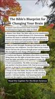 Your Brain Was Designed for Habits, and When They Get Off Track, God Designed You for Renewal.

Habits are powerful because your brain is wired for efficiency. Each time you repeat a behavior, the brain builds neural pathways to make that action automatic.

Here’s how it works:
• Cue – the trigger that starts the habit
• Routine – the behavior itself
• Reward – the benefit your brain connects to it

The challenge? Bad habits bring short-term comfort but long-term consequences. Your brain naturally chases quick rewards, which is why breaking free can feel so hard.

And knowing a habit is unhealthy isn’t enough to change it. True transformation happens when you address the emotions beneath the behavior and invite God to renew your mind.
