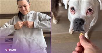 <p>These pups hilariously responded to what they deemed poor snack handling. They were more than a little upset about how their treats were doled out and felt it was necessary to take action. Watch the short but hysterical clip to see what exactly set the dogs off, and how their reaction might have taken things a little too far.</p>

<p>No one enjoys being around people who feel entitled or believe, for whatever reason, they are owed something. Is there anything worse than someone with an entitlement mentality? Those kinds of people and their horrible, off-putting dispositions make things unbearable for everyone in the general vicinity. They are usually loud and pushy and will demand to see the manager if their &ldquo;needs&rdquo; are not met in a timely fashion.</p>

<p>Those people typically referred to as &ldquo;Karens&rdquo; are best avoided at all costs. While Karens are most often middle-aged women, it turns out that being a Karen and possessing an oversized ego, an inflated sense of self and an entitlement mentality is not just confined to human beings. Animals, surprisingly, can also exhibit Karen-like behavior and tendencies.</p>

<p><a href="https://www.youtube.com/shorts/-P1VtqdaoDM">In a clip posted on YouTube</a>, a woman calls her pups over because she wants to give the four cute, furry and four-legged creatures a treat. But before handing out the treats to the pups, she cracks them in half, hoping to make them go further. It only makes sense, right? If you can save a little bit of money here and there, why not?</p>

<p>However, the dogs do not appreciate the woman&rsquo;s cost-saving maneuver. Instead of gladly accepting the treat she&rsquo;s offering, all four of the dogs turn their noses up at the half- treat offer. It&rsquo;s clear that with each of them, it&rsquo;s all or nothing.</p>

<p>To show their frustration and to make sure the woman knows just how angry they were with her earlier attempt to give them half a treat, they get back at her in the most unexpected way. They want her to know how it feels to have things cut in half.</p>

<p>While the animals displayed an entitlement mentality, at least they didn&rsquo;t demand to speak with the manager.</p>

<p><em><strong><a href="https://www.godtube.com/bible/genesis/1-21">Genesis 1:21</a></strong> &ldquo;And God created great whales, and every living creature that moves, which the waters brought forth abundantly, after their kind, and every winged fowl after his kind: and God saw that it was good.&rdquo;</em></p>
