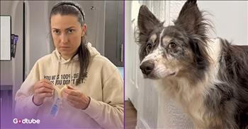 <p>These pups demand their fair share of cheese. If they do not get a cheesy snack every once in a while, especially when someone else enjoys one, there will be repercussions. Watch the short but hysterical clip to see what happens when these dogs find out someone has been helping themselves to some cheese without sharing.</p>

<p>Cheese is, and likely will forever remain, hugely popular. Think about all the foods it&rsquo;s included in &ndash; nachos, pizza, lasagna, several McDonald&rsquo;s breakfast sandwiches, ravioli, cheeseburgers, macaroni and cheese and the classic, grilled cheese sandwiches. If there&rsquo;s a way to include cheese in something, Americans will figure out how to do it.</p>

<p>With so many foods and dishes that feature cheese as a main ingredient, it might seem like everyone enjoys cheese. So, is there anyone who does not love cheese? Well, I know of one person: myself. And that&rsquo;s not because I&rsquo;m lactose intolerant or anything. Ever since I was a child, I&rsquo;ve never liked cheese and have always avoided it as best as I can. However, I understand I&rsquo;m in the minority when it comes to how people, and, as it turns out, animals feel about cheese.</p>

<p><a href="https://www.youtube.com/shorts/l8h4vybKfY4">In a clip posted on YouTube</a>, a woman helps herself to a snack of string cheese. There&rsquo;s nothing wrong with that, right? A little snacking here and there never hurt anyone, or could it?</p>

<p>Before she indulges in that cheesy snack, she goes to great lengths to make sure that her pups are unaware of what she is about to do. She did not want them to know she was about to consume some string cheese.&nbsp;</p>

<p>Despite being extremely careful, it was not enough. The animals found out what she did and how she did not share with them, and they were not pleased. The pups expressed their displeasure in the most hilarious and unexpected way.</p>

<p><em><strong><a href="https://www.godtube.com/bible/genesis/1-21">Genesis 1:21</a></strong> &ldquo;And God created great whales, and every living creature that moves, which the waters brought forth abundantly, after their kind, and every winged fowl after his kind: and God saw that it was good.&rdquo;</em></p>
