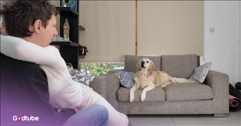 <p>This Golden Retriever had a hilarious reaction to its owner&rsquo;s hugging. The pup made its feelings abundantly clear when the husband and wife showed each other some affection. Watch the short but hysterical clip to see the unexpected way the dog responded when its two owners shared a hug.</p>

<p>Animals, like people, are not the same. Each has its own unique personality, as every pet owner knows very well. Sure, some animals may look similar, but often how they respond to people, situations and environments can be as different as night and day. Anyone who says all dogs or all cats are the same is simply showing their ignorance and their inexperience with animals.</p>

<p>It's been said that dogs are man&rsquo;s best friend, and in many cases, that has been proven again and again. How many stories have you seen or read where a dog enters a burning building to retrieve someone or something? Or what about articles about a pup who returned home years later? Those types of stories are all over the internet.</p>

<p>However, <a href="https://www.youtube.com/watch?v=f-4LYyAZxR8">a clip posted on YouTube</a> shows that one Golden Retriever has a favorite, a best friend, and it&rsquo;s not the man of the household. Every time the woman hugs her husband, the dog barks loudly and wildly, even growling, clearly voicing its displeasure. &nbsp;At one point, the dog goes over and attempts to physically separate the two, placing its head between them.&nbsp;</p>

<p>Obviously, the dog is quite jealous and does not want her giving attention to anyone but it. While the dog may not mind the man of the house, the animal likely tolerates him. But it&rsquo;s clear, from that short clip, that the animal prefers her, and it&rsquo;s not even close.</p>

<p>As pet owners know, animals do seem to pick and gravitate toward one person, and this adorable Golden Retriever is no different.</p>

<p><em><strong><a href="https://www.godtube.com/bible/genesis/1-21">Genesis 1:21</a></strong> &ldquo;And God created great whales, and every living creature that moves, which the waters brought forth abundantly, after their kind, and every winged fowl after his kind: and God saw that it was good.&rdquo;</em></p>
