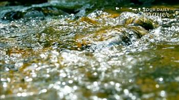 <p>What if God is calling you to something greater than you’ve imagined?</p><p>In today’s prayer, we reflect on Jesus’ words in Matthew 9:35–38—<strong>“The harvest is plentiful, but the workers are few.”</strong> These words are not just for the disciples… they are for us today.</p><p>Jesus saw the crowds and was filled with compassion. He saw people who were hurting, lost, and searching for hope. And He still sees them today.</p><p>The question is:</p><p> <strong>Will we respond?</strong></p><p>Whether you’re called to go across the world or serve right where you are, God invites you to be part of His mission. Even small acts of obedience—praying, giving, sharing your faith—can have eternal impact.</p><p>If you’ve ever felt a stirring in your heart to do more for God’s Kingdom, this prayer will help you surrender, listen, and say “yes” to His leading.</p>