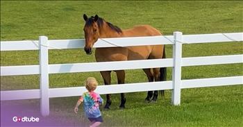 <p>A toddler and a horse shared the sweetest moment. It&rsquo;s clear from this short interaction that these two are definitely pals and are likely to be friends for a long time. Watch the short but adorable clip to see what happened when this little one ran toward the fence.</p>

<p>Animals are some of the best creatures. While we may not be able to agree on nearly anything, with every subject and topic today considered to be a hot-button and likely to bring about heated discussions and vigorous debate, we can all agree on this. Is there anyone who would, or better yet, even could argue differently?</p>

<p>Those cute, furry and four-legged critters make for some of the best friends imaginable. If you are, or ever have been, a pet owner, you know this to be incredibly true and real. Show an animal, even the smallest amount of love, care and attention, and you&rsquo;ve got yourself a friend for life. They will forever remember how you treated them and reciprocated &ndash; dogs, cats, rabbits, whatever.</p>

<p><a href="https://www.youtube.com/watch?v=Rf4PRuBXO3k">A clip posted on YouTube</a> features two unlikely friends and their precious interaction. It&rsquo;s one of those moments that will cause you to comment on how cute it is, whether you are watching with someone else or not. It&rsquo;s simply that precious and heartwarming. It perfectly shows the connection between human beings and animals, and how, at some level, we understand one another.</p>

<p>The clip begins with the toddler standing at the white fence, leaning over it as the child yells toward three horses in the distance. Immediately after hearing and seeing the little guy, the horses make their way in his direction.</p>

<p>All three horses soon make their way to the fence, with two of them placing their faces over the fence, getting as close as possible to the little guy. &nbsp;But this child is not in the slightest concerned about its safety. It clearly knows these animals and understands they wish him no harm. Instead, they are as gentle and as loving as can be with the tiny human.</p>

<p>What an unbelievably cute, heartwarming sight!</p>

<p><em><strong><a href="https://www.godtube.com/bible/genesis/1-21">Genesis 1:21</a></strong> &ldquo;And God created great whales, and every living creature that moves, which the waters brought forth abundantly, after their kind, and every winged fowl after his kind: and God saw that it was good.&rdquo;</em></p>
