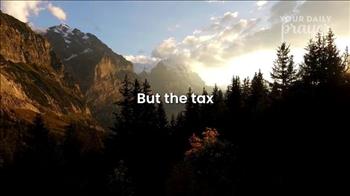 <p>Have you ever caught yourself quietly thinking… <em>“At least I’m not like them?”</em></p><p>Pride can be subtle—but it can also be dangerous.</p><p>In Luke 18:9–14, Jesus tells a powerful parable of two men who prayed—one full of pride, the other full of humility. And it was the humble man, not the religious one, who walked away justified before God.</p><p>This prayer is for those moments when:</p><ul><li>You feel spiritually “better” than others</li><li>You struggle with comparison or judgment</li><li>Pride begins to creep into your heart</li></ul><p>Scripture reminds us that <strong>God opposes the proud but gives grace to the humble.</strong> True growth in our faith begins when we recognize our need for Him.</p><p>Tonight, lay down your pride…</p><p> and receive His mercy.</p><h3>📖 Key Bible Verses</h3><ul><li>Luke 18:9–14</li><li>Romans 12:3</li><li>Romans 3:10–12</li></ul><p><br></p>