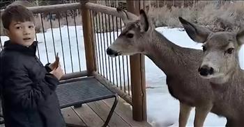 <p>You will not believe how close these deer got to a young man. The wild animals seemed to have absolutely no fear of the little guy. Watch the short but jaw-dropping video to see the surprising and almost unbelievable way the animals reacted to the child.</p>

<p>Animals are, without a doubt, some of the best creatures God ever placed on this earth. That&rsquo;s a statement no one is likely to find nearly universal agreement. How can you not love and adore those critters? Even if you wouldn&rsquo;t necessarily consider yourself an animal person, you more than likely still possess a soft spot in your heart for them.</p>

<p>Now, as anyone who has ever interacted with an animal before understands, not all animals are the same. They will not react in the same manner to every situation and environment. Some animals are much more welcoming of human attention than others. Dogs and cats, for instance, enjoy human attention and interaction for the most part. Others, more wild animals, are more likely to shun it and shy away from it completely.</p>

<p>A posted clip demonstrates that while wild animals, by and large, would rather be left alone, that is not always the case. The video shows two deer quietly and cautiously approaching a young man, hoping to get something to fill their stomachs.</p>

<p>The scene is so strange yet utterly captivating. You&rsquo;re unable to look away because it appears not to be real. It looks like something straight out of a Disney movie. The little guy appears totally freaked out, unsure of what to do in this situation, yet not wanting to hurt or scare the animals walking toward him.</p>

<p>I can&rsquo;t say that I would know what to do if I were in his shoes. I&rsquo;d likely react similarly. I&rsquo;m pretty sure my eyes would be just as wide, unable to truly believe the sight before me.</p>

<p><em><strong><a href="https://www.godtube.com/bible/genesis/1-21">Genesis 1:21</a></strong> &ldquo;And God created great whales, and every living creature that moves, which the waters brought forth abundantly, after their kind, and every winged fowl after his kind: and God saw that it was good.&rdquo;</em></p>

