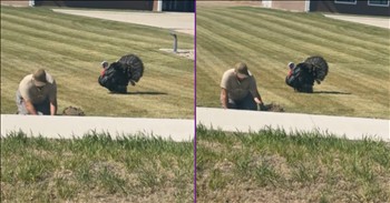 <p>A sneaky turkey gave a man working outside quite a scare. The animal slowly, without being detected, got closer and closer to the man. Watch the short but hilarious clip to see what happened when the man realized what was mere inches away from him.</p>

<p>Human beings love being in control, or at least the illusion of it. We all want to believe that what happens in our lives results from our (good) decisions and choices. If we&rsquo;re in control and have final say-so over what does and doesn&rsquo;t happen in life, we can never be hurt, caught off guard or surprised.</p>

<p>However, that is incredibly wrong and faulty thinking. Sure, what we do and the choices we make, to a certain degree, do play a role in what happens to us in life. But, as we all know, whenever we have a plan, life tends to come along and change things up. As the old saying goes, &ldquo;If you want to make God laugh, tell Him your plans.&rdquo;</p>

<p>Surprises, both good and bad, happen throughout life. We&rsquo;ll be caught off guard more times than we&rsquo;d like to admit. In a posted clip, one man working outside received quite a surprise. Given his reaction, he was not expecting to see what was mere inches from him.</p>

<p>In the video, someone driving along the road stops and begins filming when they see quite the unexpected sight. A man was working in the front yard, near the road, but as he was toiling away, a turkey stealthily approached him.</p>

<p>Given the bird's crazy number of feathers, at times it appears to be gliding along, with its feet not even touching the ground. The bird continues to get closer and closer, and the man has absolutely no idea.</p>

<p>Eventually, the man feels the presence of the person filming the creature behind him, and he reacts accordingly. He is understandably startled, making for a hilarious reaction.</p>

<p><em><strong><a href="https://www.godtube.com/bible/genesis/1-21">Genesis 1:21</a></strong> &ldquo;And God created great whales, and every living creature that moves, which the waters brought forth abundantly, after their kind, and every winged fowl after his kind: and God saw that it was good.&rdquo;</em></p>
