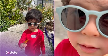 <p>A butterfly had a surprising plan for a little boy. The youngster was certain that the creature had a nefarious scheme that it was just about to unleash on him. Watch the short, but hysterical clip to hear what the youngster says and what he believes the butterfly planned to do to him.</p>

<p>Many people aren&rsquo;t fans of bugs and insects, including myself. Simply seeing them out in the wild is enough to send people running in the other direction, and again, I include myself in this as well. I don&rsquo;t know if it gets any worse than spiders and snakes. Seeing either one of them would cause me to high-tail it in the opposite direction, run into the nearest shelter and shut and lock the door.</p>

<p>Don&rsquo;t even get me started if one of those creepy, crawling things were to make contact with me; I can&rsquo;t imagine much worse than that happening. But even though I am admittedly not the biggest fan of insects, there are a select few I can make exceptions for. One of those is butterflies. They are pretty harmless and are often pleasing to the eye.</p>

<p>However, as it turns out, not everyone is big on butterflies. <a href="https://www.youtube.com/shorts/z4cB8EKfr1I">A clip posted on YouTube</a> captured a little guy with a butterfly on his right hand. At first glance, everything appears to be OK. There is no screaming or running. He&rsquo;s not waving his arm around wildly, trying to get it to flee and find somewhere else to rest. In fact, many would argue that the child seems to be rather content with the insect resting on his hand, for the most part, anyway. But, as the saying goes, looks are deceiving.</p>

<p>Once the butterfly decides it&rsquo;s time to find somewhere else to chill, the child lets everybody in on the insect&rsquo;s sinister plan.</p>

<p>&ldquo;It was trying to drink my blood,&rdquo; the child states.</p>

<p>I don&rsquo;t think that&rsquo;s right, but you never know, and it&rsquo;s better to be safe than sorry.</p>

<p><em><strong><a href="https://www.godtube.com/bible/genesis/1-30">Genesis 1:30</a></strong> &ldquo;And to every beast of the earth, and to every fowl of the air, and to every living thing moving on the face of the earth, I have given every green plant for food: and it was so.&rdquo;</em></p>
