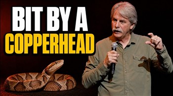 A Copperhead Sent Me to the Hospital