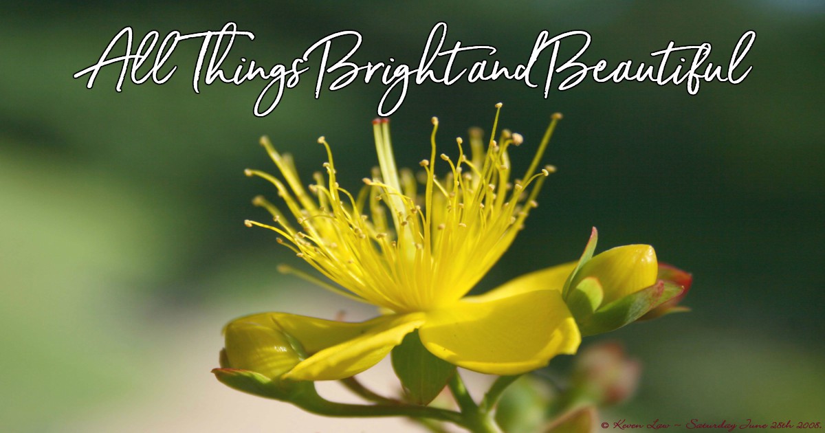 All Things Bright and Beautiful Lyrics, Hymn Meaning and Story