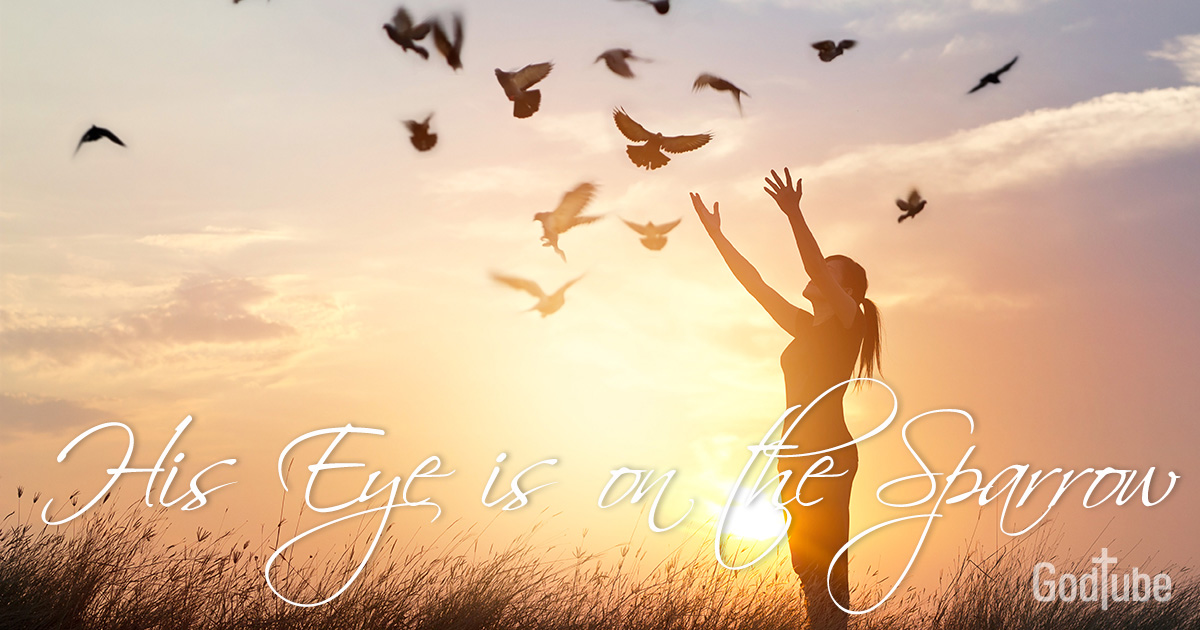 His Eye Is On The Sparrow Lyrics Hymn Meaning And Story