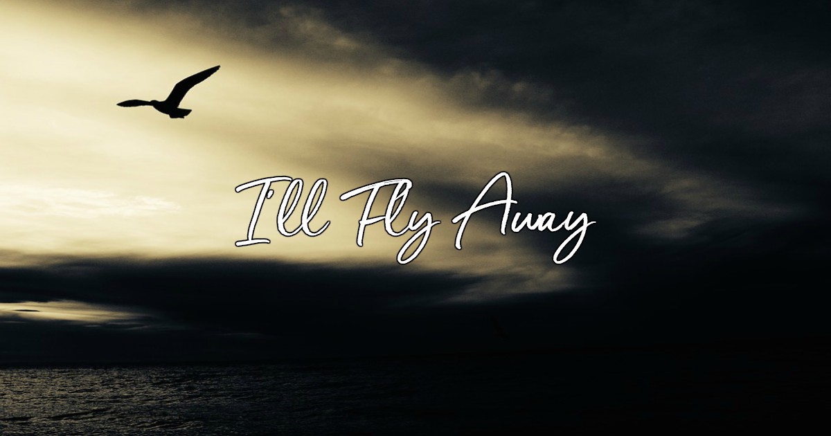 Fly away