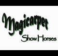 magicarpetshowhorses
