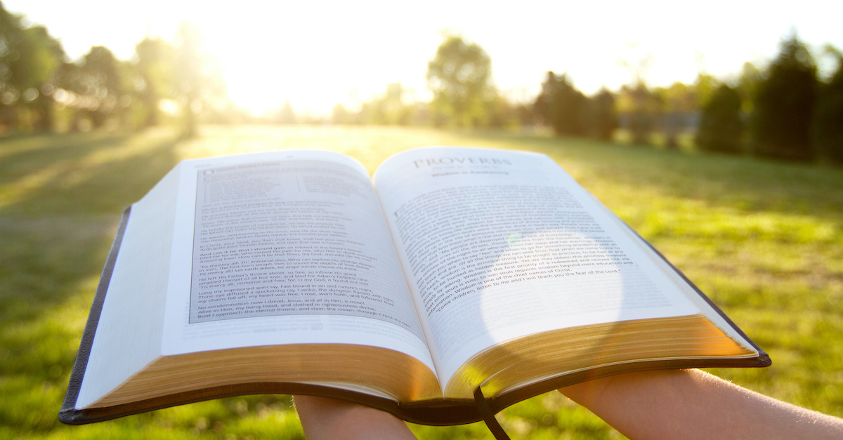 open Bible held outside in sunny meadow, goodness of God
