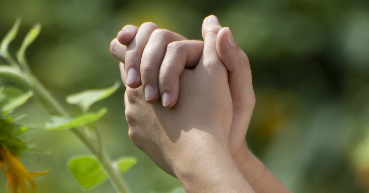 hands praying in sunflower field
