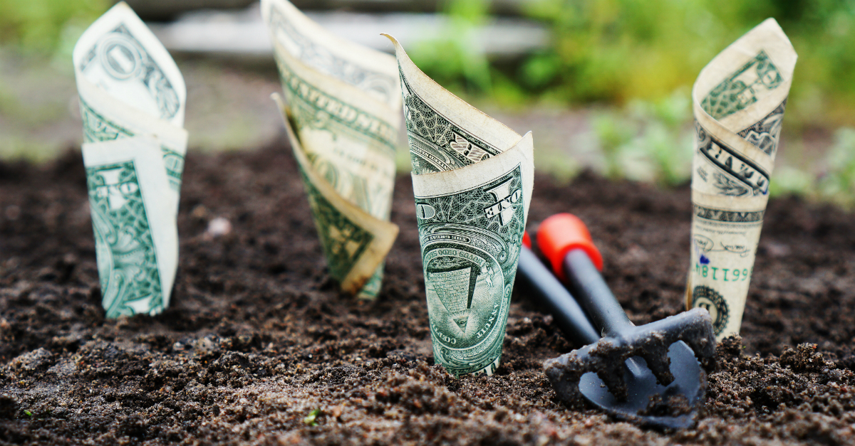 What Does Sowing and Reaping Look Like in God’s Economy?