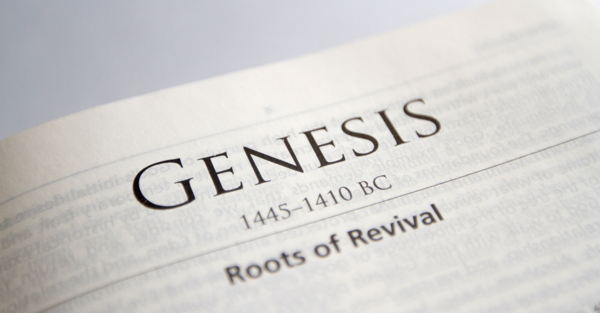 what book of the bible should i read after genesis