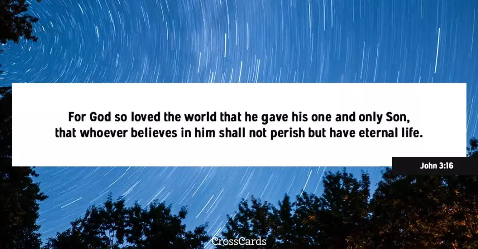 love bible verses, john 3:16