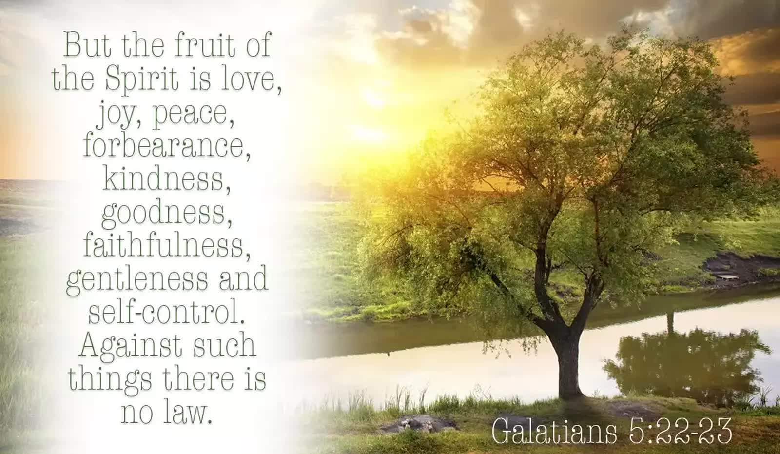 bible verses about love - galatians 5:22-23