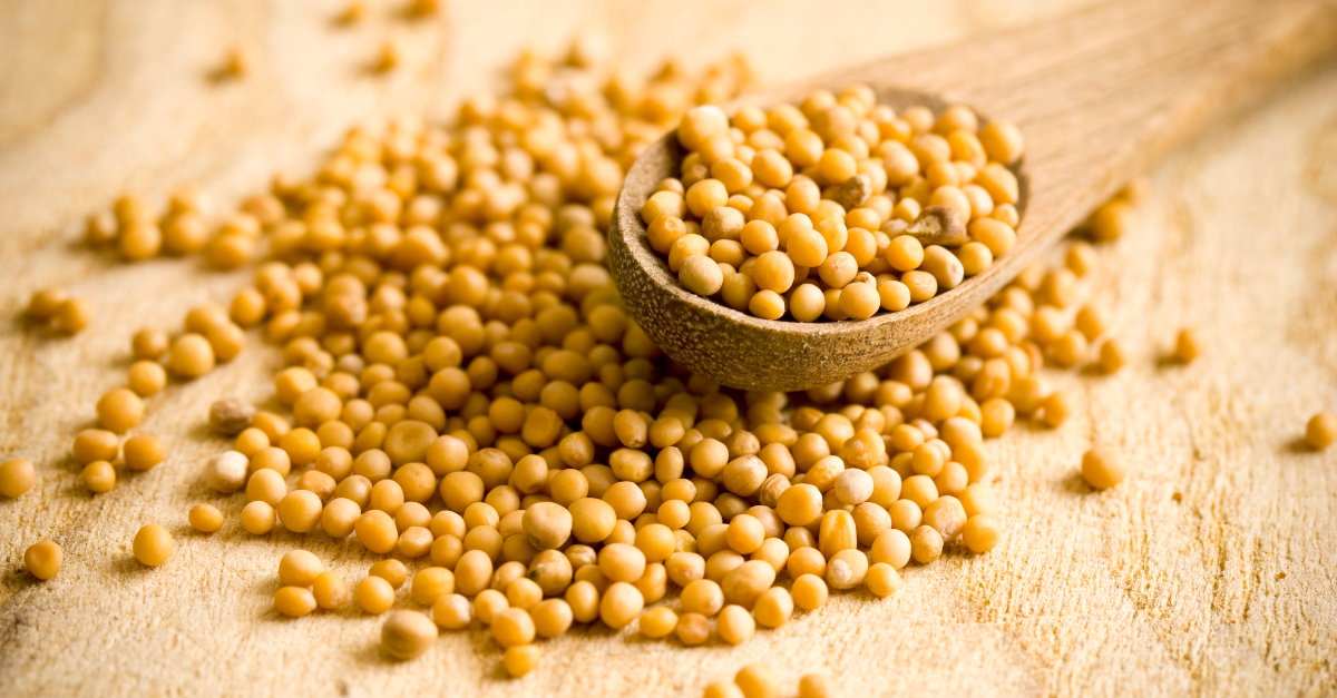 Faith of a Mustard Seed' Bible Verse Meaning Explained