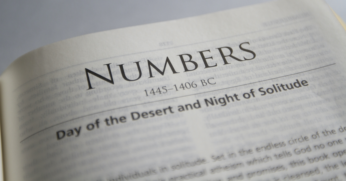 meaning of the book of numbers in the bible summary