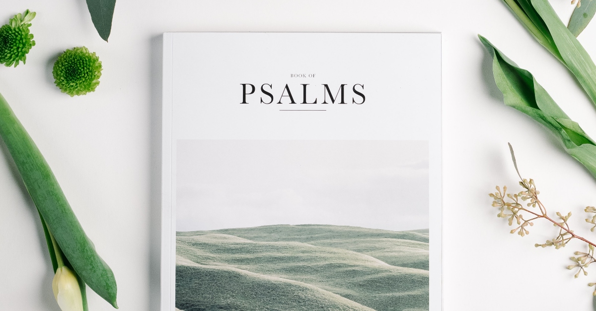 Psalms - Complete Bible Book Chapters and Summary - New ...