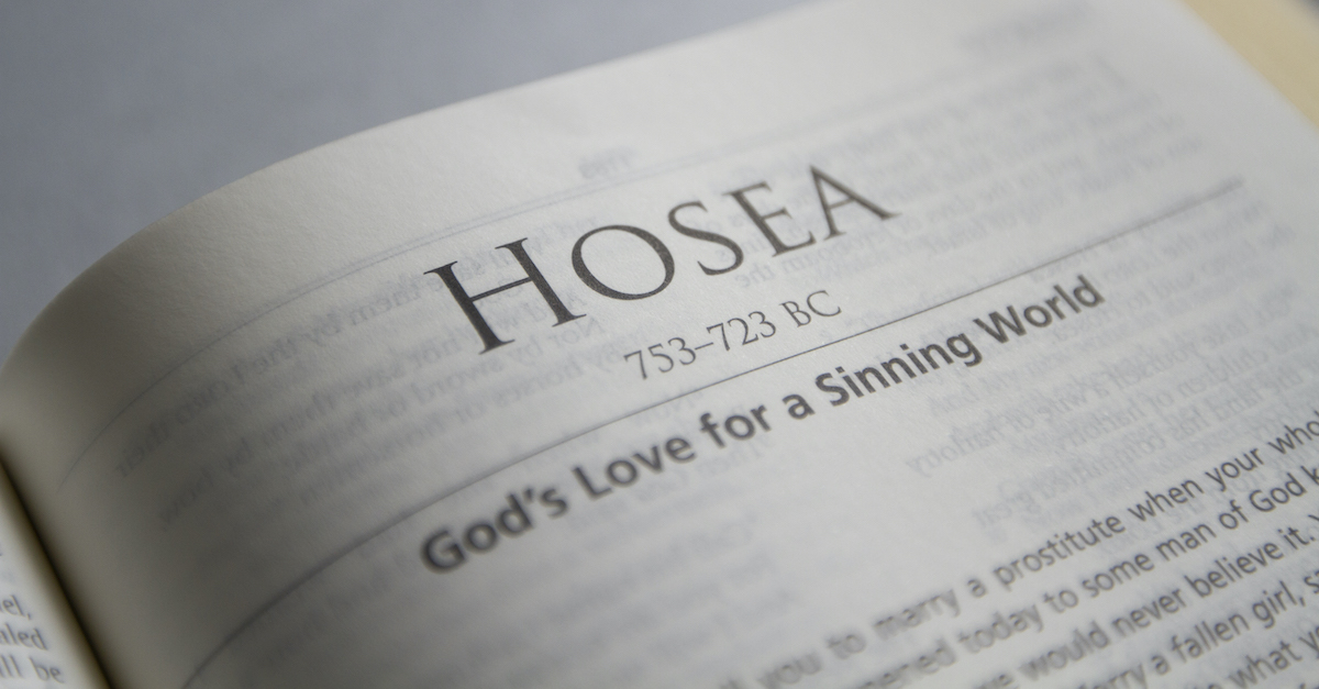 hosab book