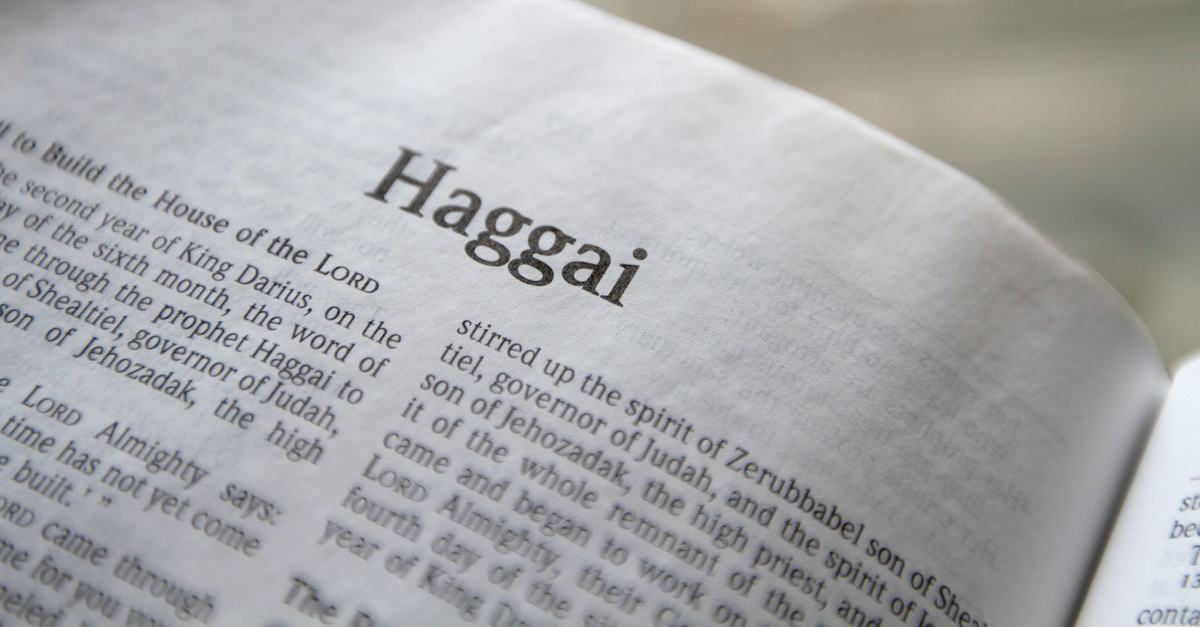 Haggai - Complete Bible Book Chapters and Summary - New ...