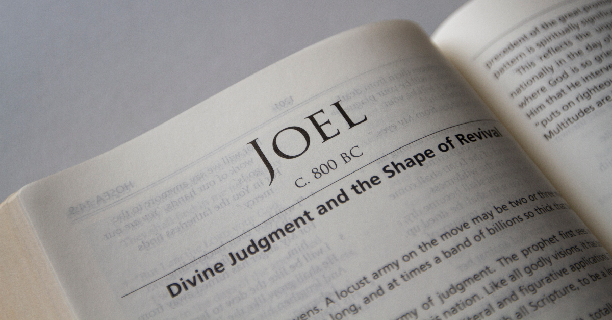 joel bible