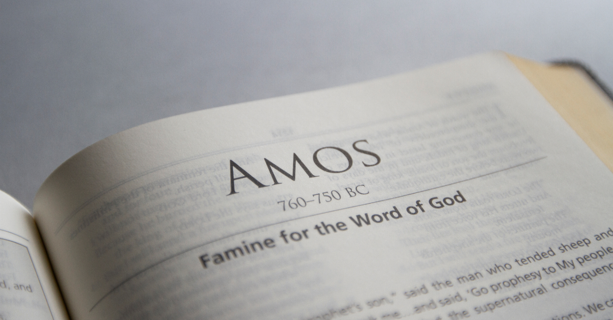 Amos Bible Book Chapters And Summary New International Version