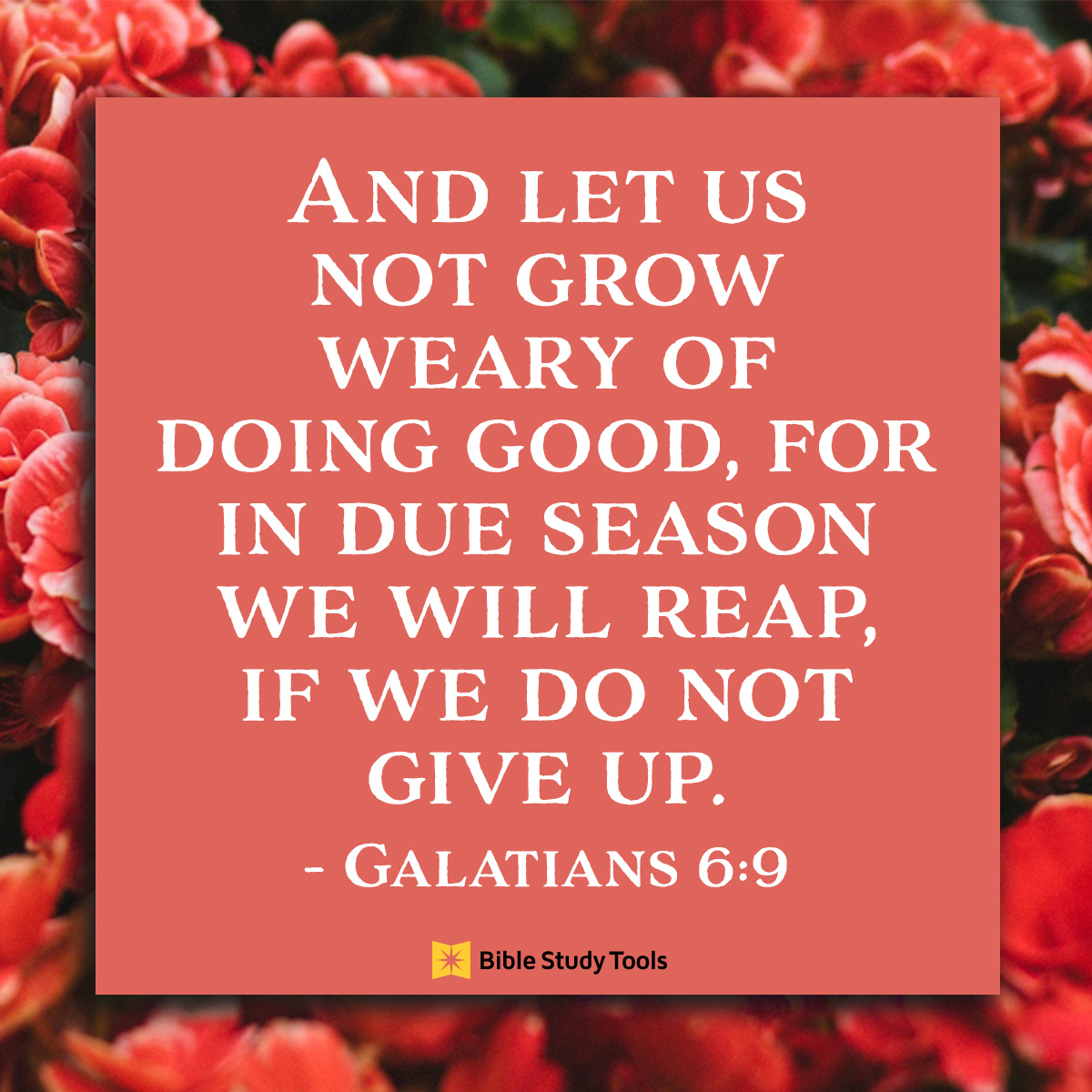 When We Get Too Weary Galatians 6 9 Your Daily Bible Verse June 