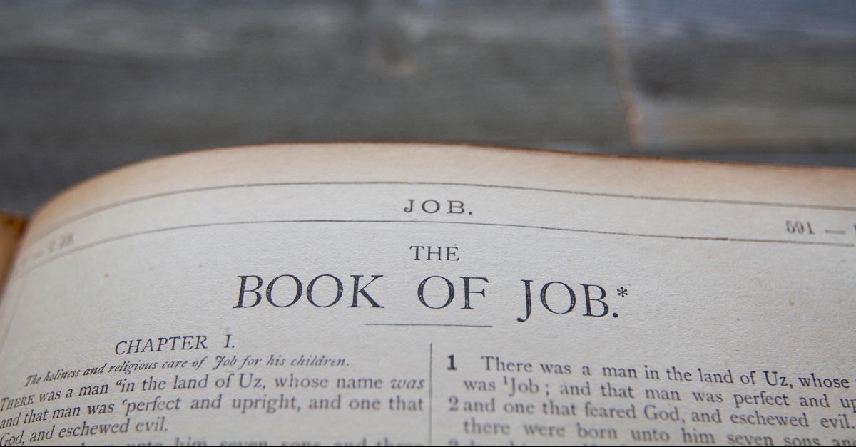 The Bible Story Of Job History Context - www.vrogue.co