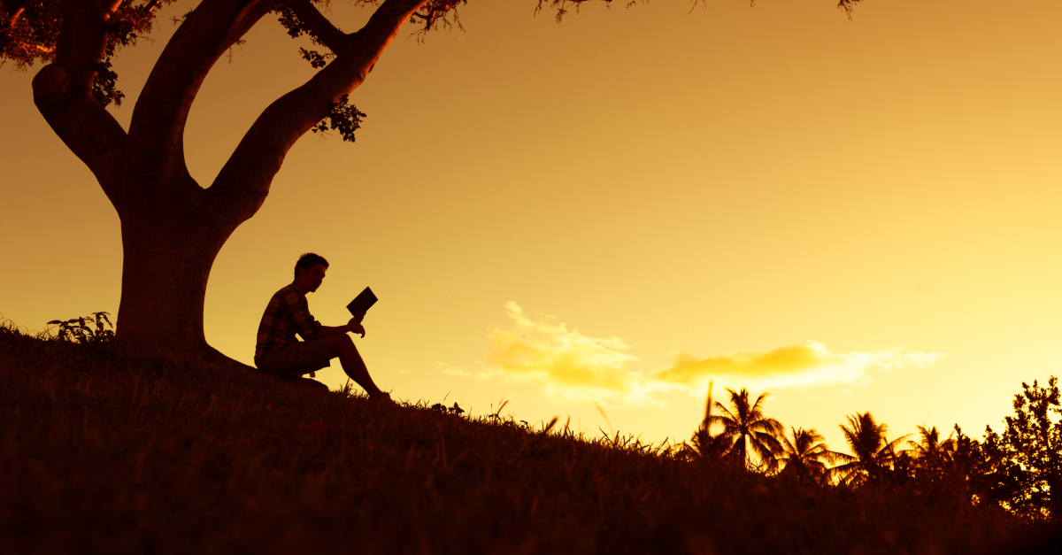 silhouette man on hillside at dusk reading bible