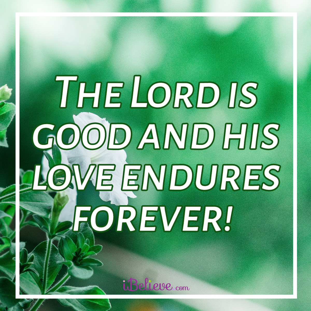 his love endures forever square