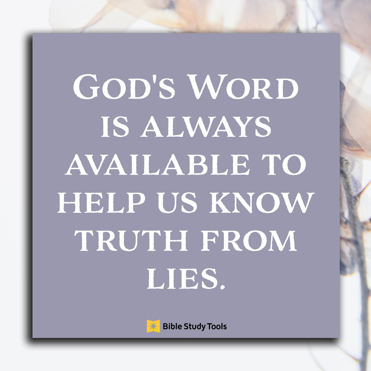 verses gods word is truth
