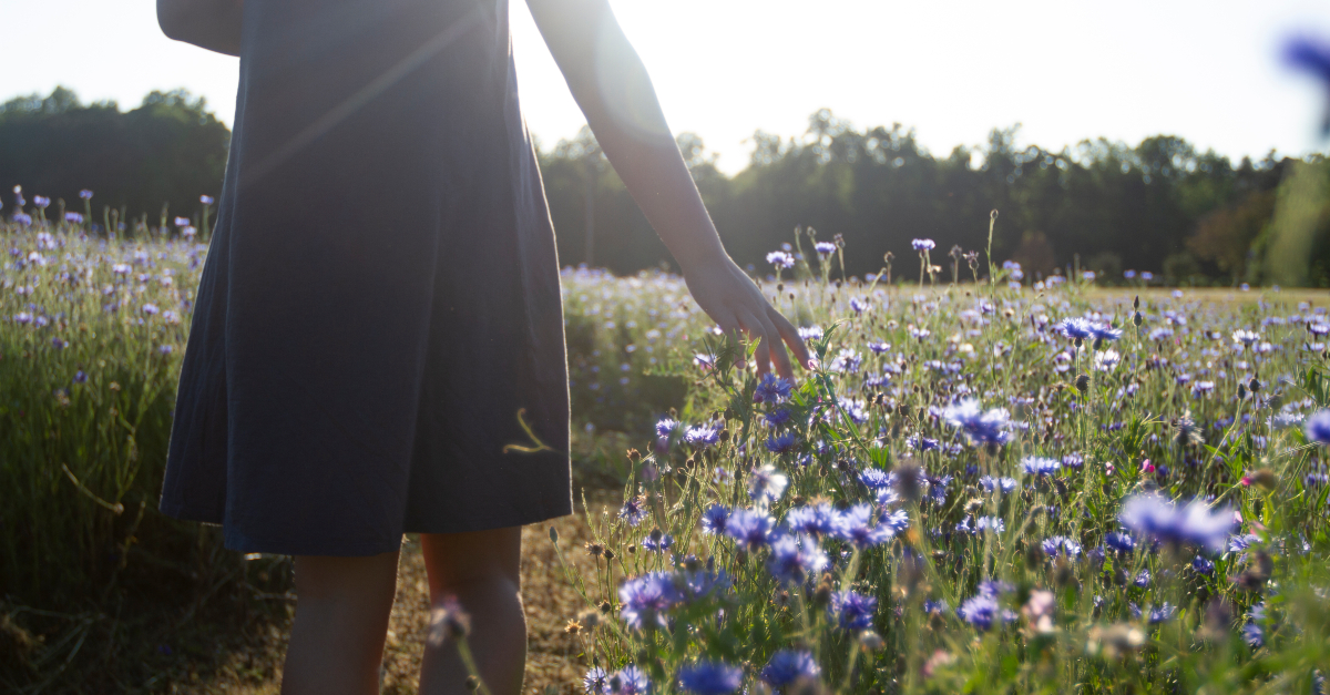 What Does it Look Like to ‘Walk in the Light’ Today?