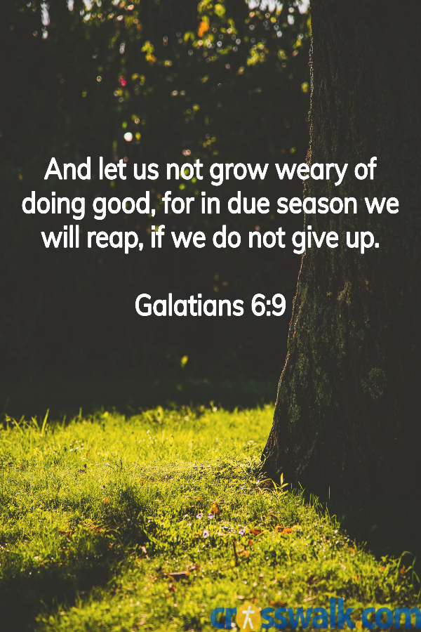 bible verses for patience, Galatians 6:9