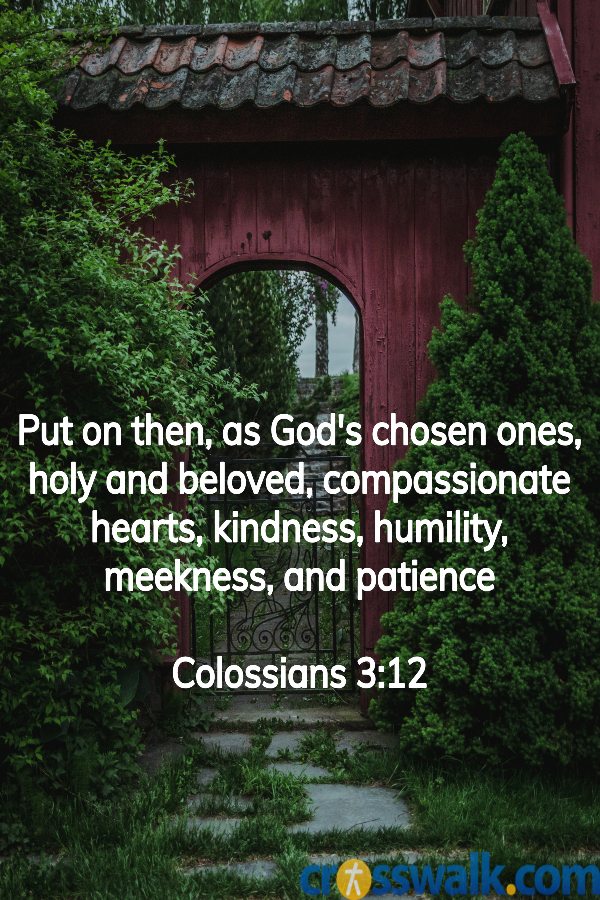 bible verses for patience, colossians 3:12, scriptures on patience