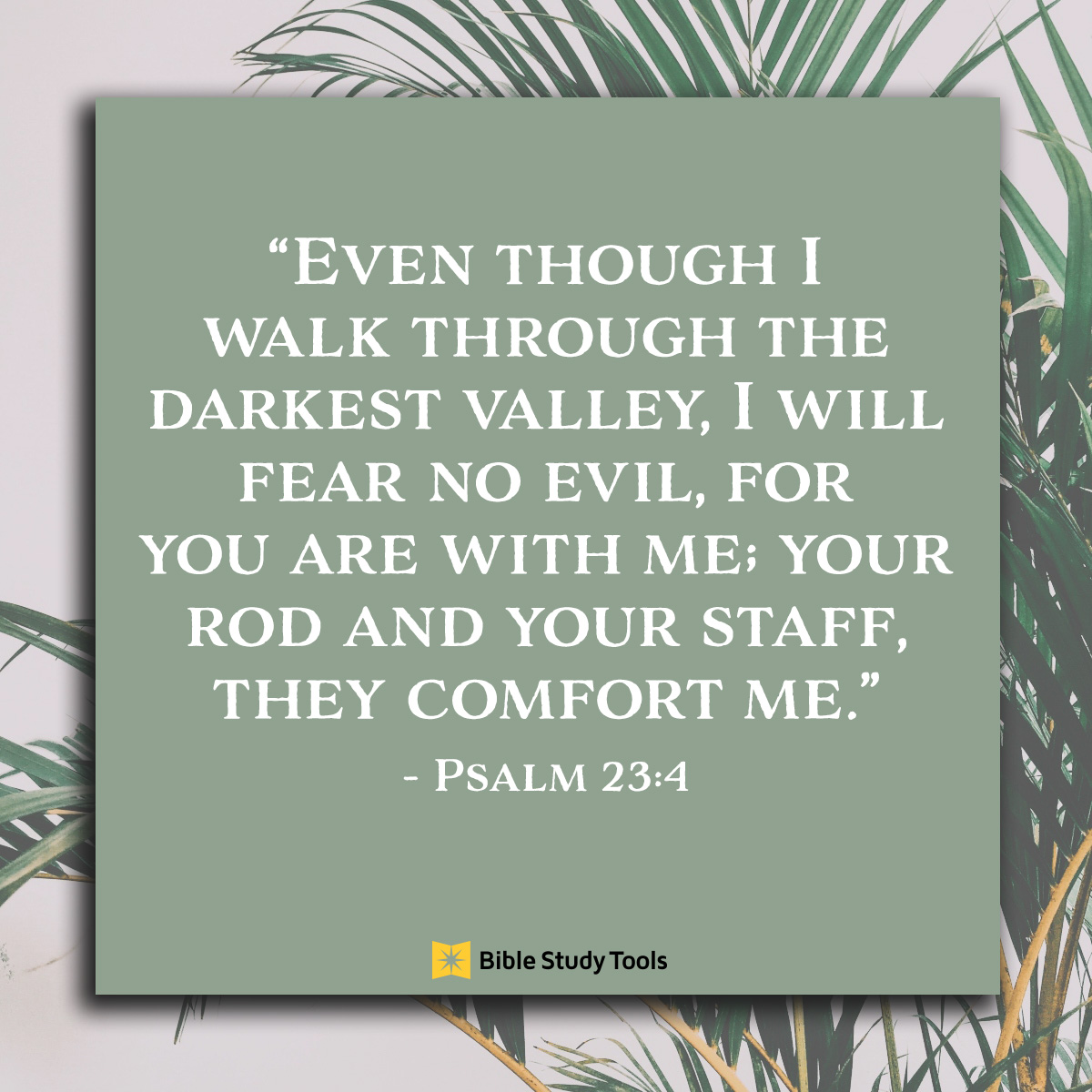 You Are With Me (Psalm 23:4)