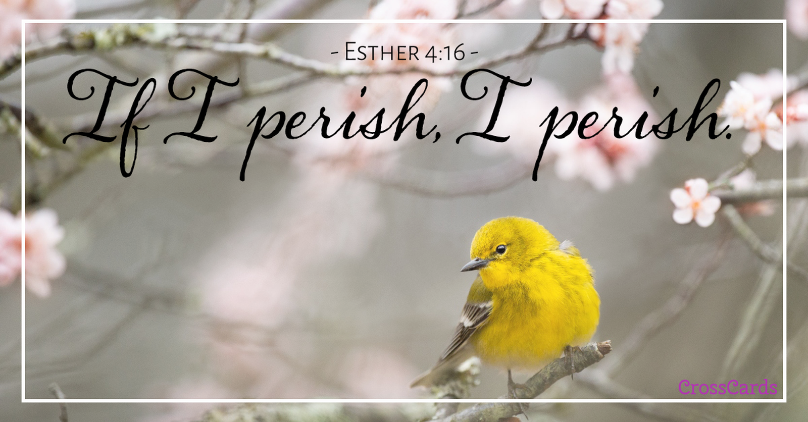 Esther 4:16 ecard, online card