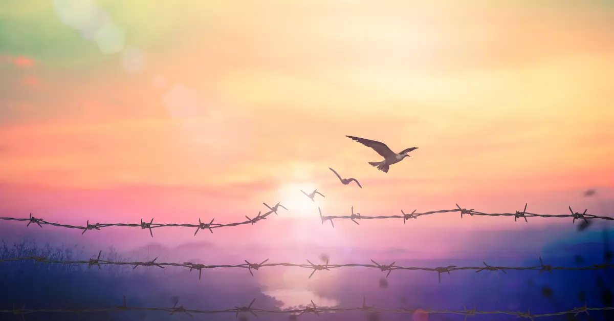 13708-freedom-redemption-from-a-reprobate-mind-bird.webp